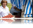 A guarantee fund-backed loan enabled Zuhra to increase the profitability of her strawberry farm. Photography: Olivier Le Blanc/USAID