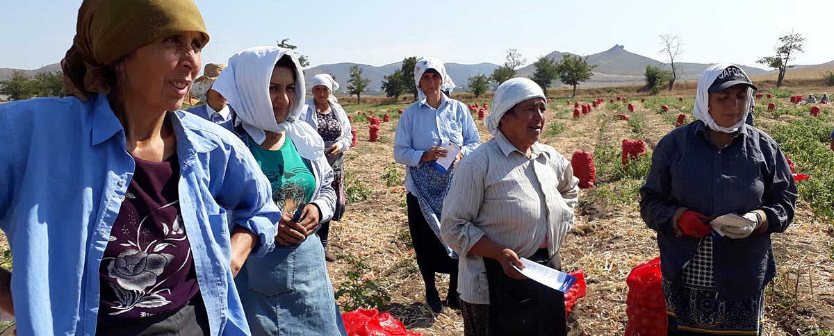  Civic volunteers identify the priorities of local women voters